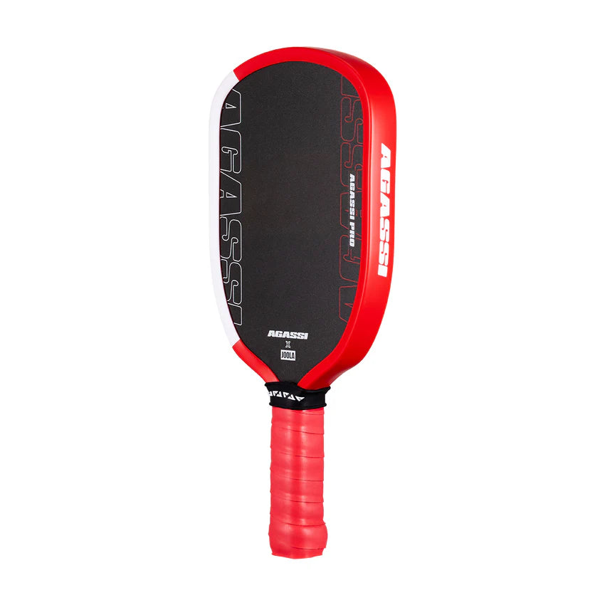 JOOLA Pro IV Mini Pickleball Paddles