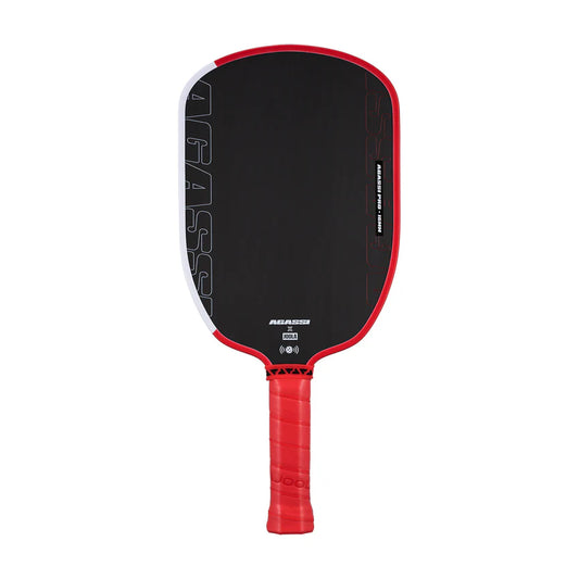JOOLA AGASSI PRO 16MM PICKLEBALL PADDLE